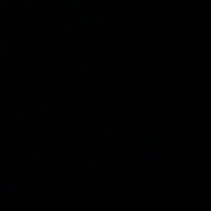 Meet your Posher, Pedro